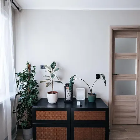 Apartment Grobla Nest *